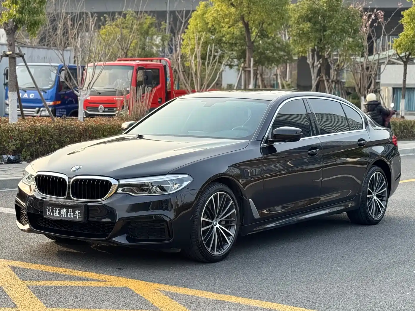 BMW 5 Series 2020 530Li Leading M Sport Package