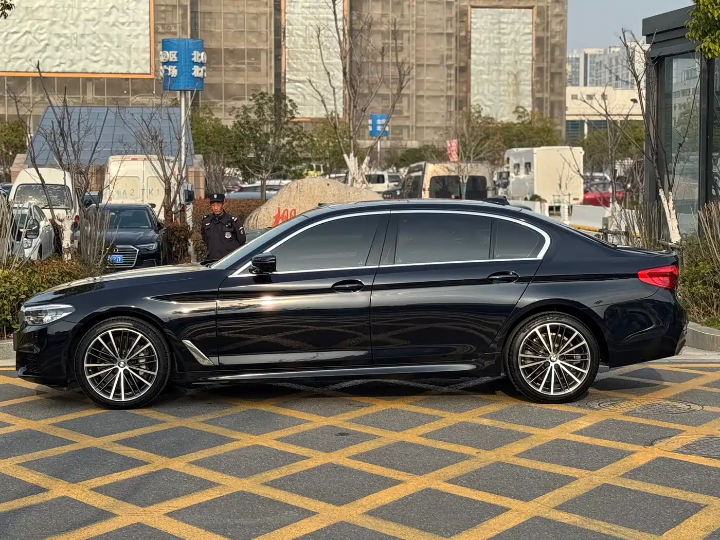 BMW 5 Series 2020 530Li Leading M Sport Package фото 7