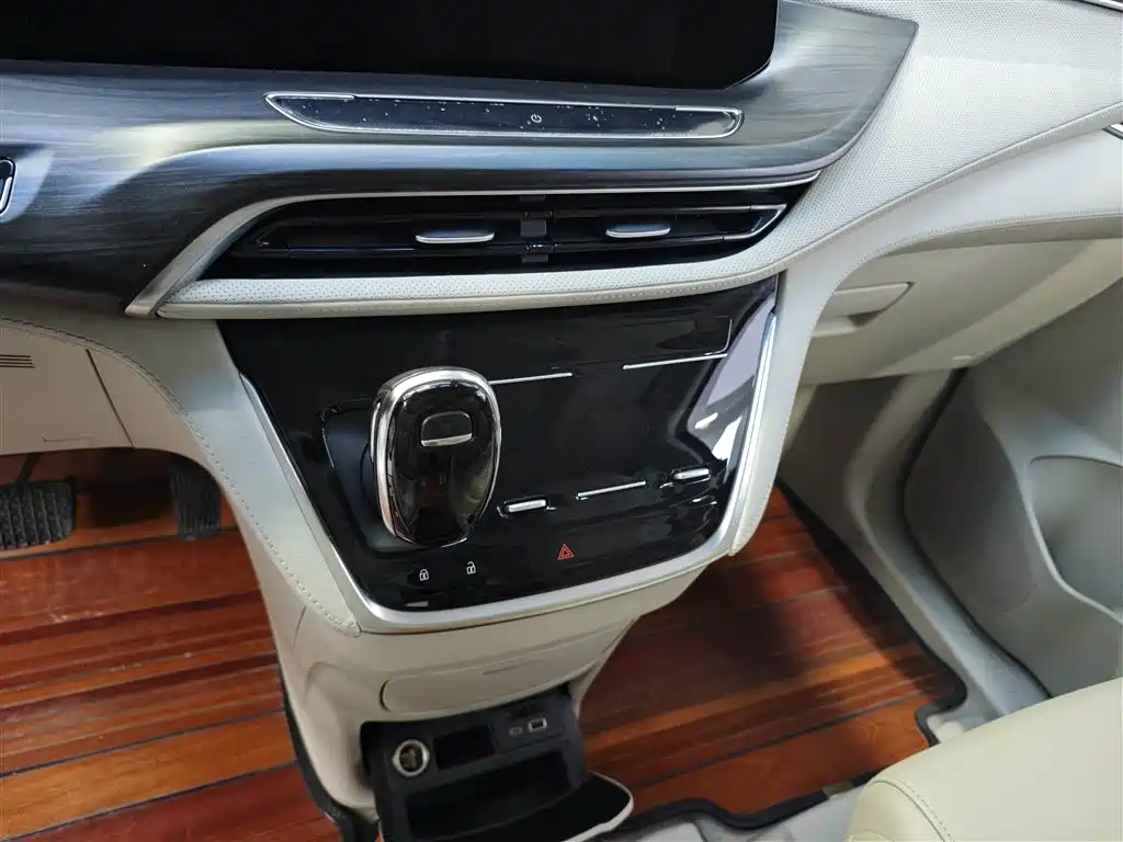 Buick GL8 2021 ES Landlord 653T Comfort фото 18