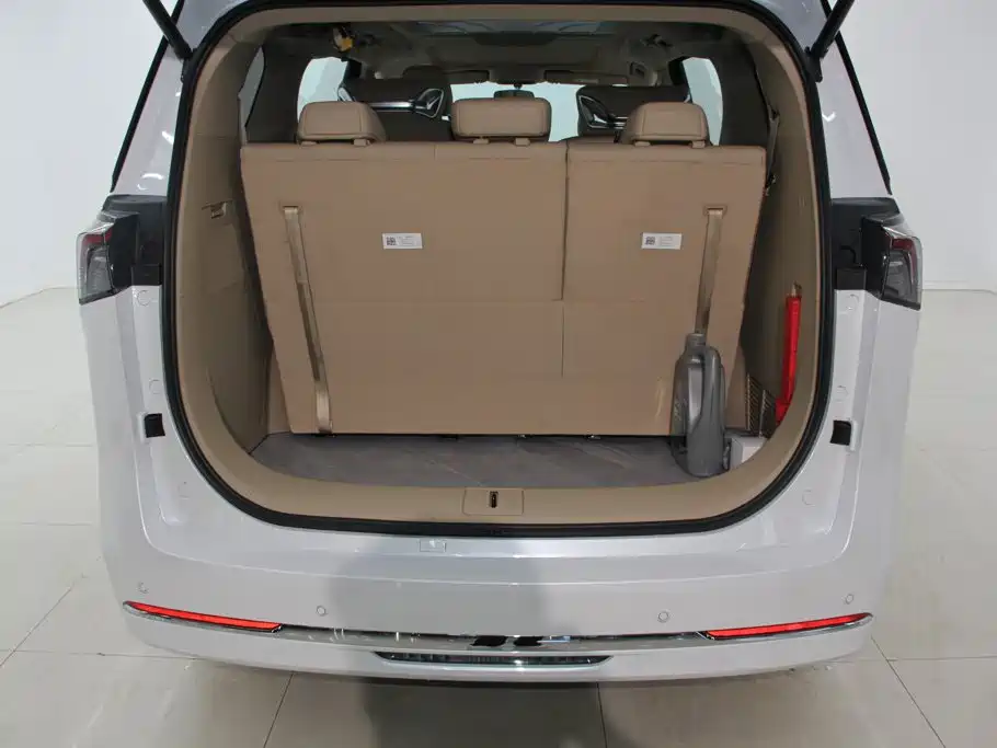 Фото 25 - Buick GL8