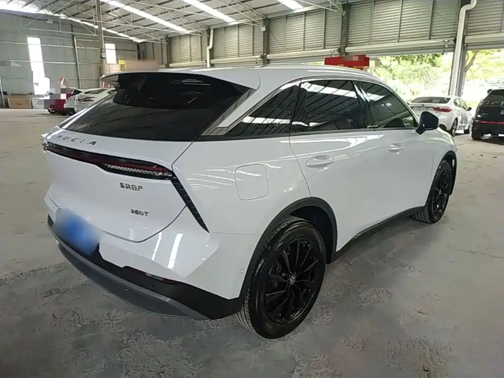Venucia Big V 2022 2021 260T King Edition