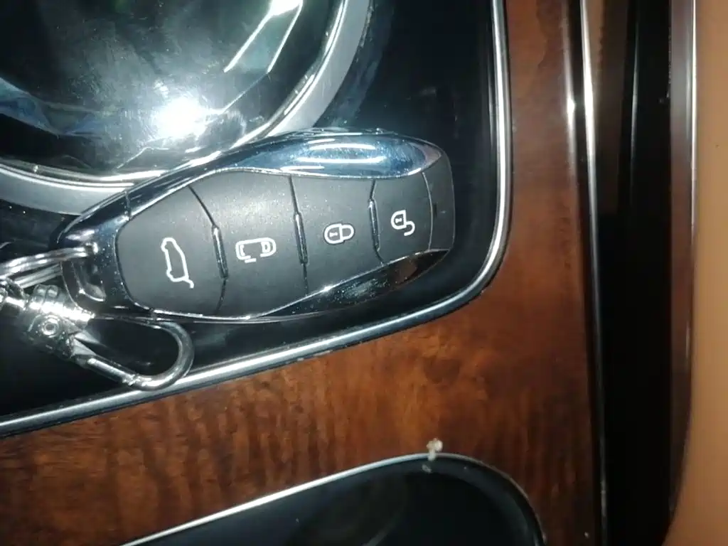 Hongqi HQ9 2024 2023 2.0T Smart Connect Flag Smooth Edition