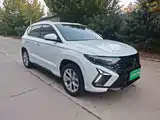 Фото 4 - Jetta VS5