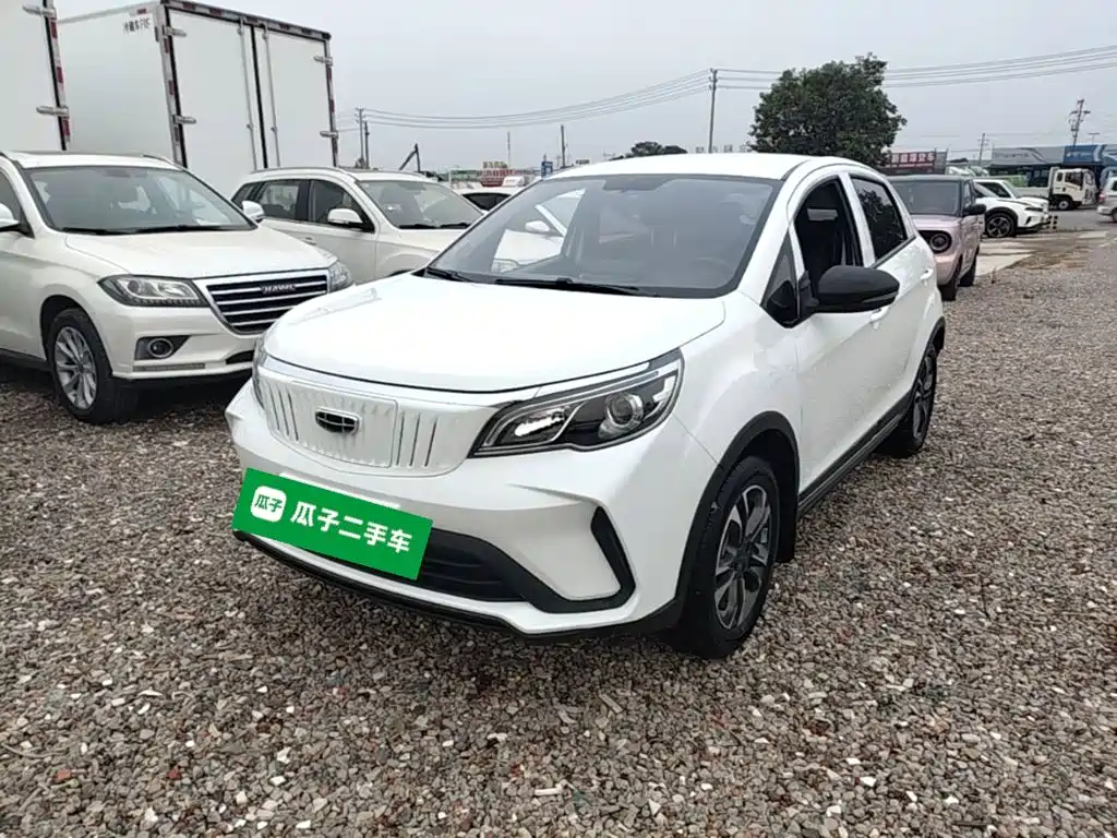 Geely Geometry EX3 Kung Fu Bull 2022 2021 Strong Bull