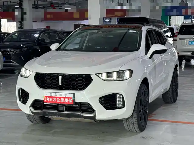 WEI PAI WEI BRAND VV5