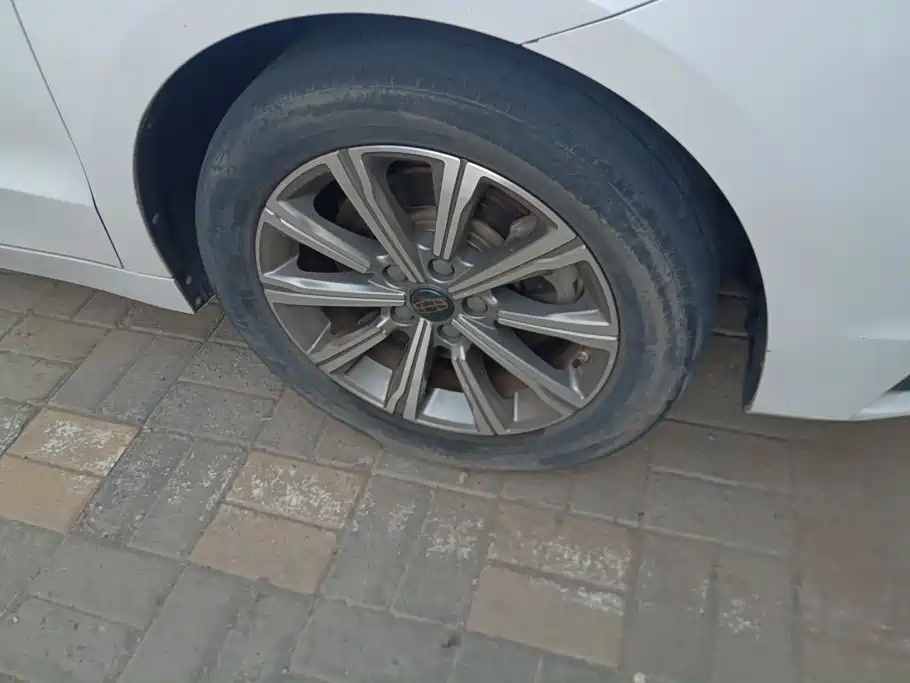 Фото 6 - Geely Borui PHEV