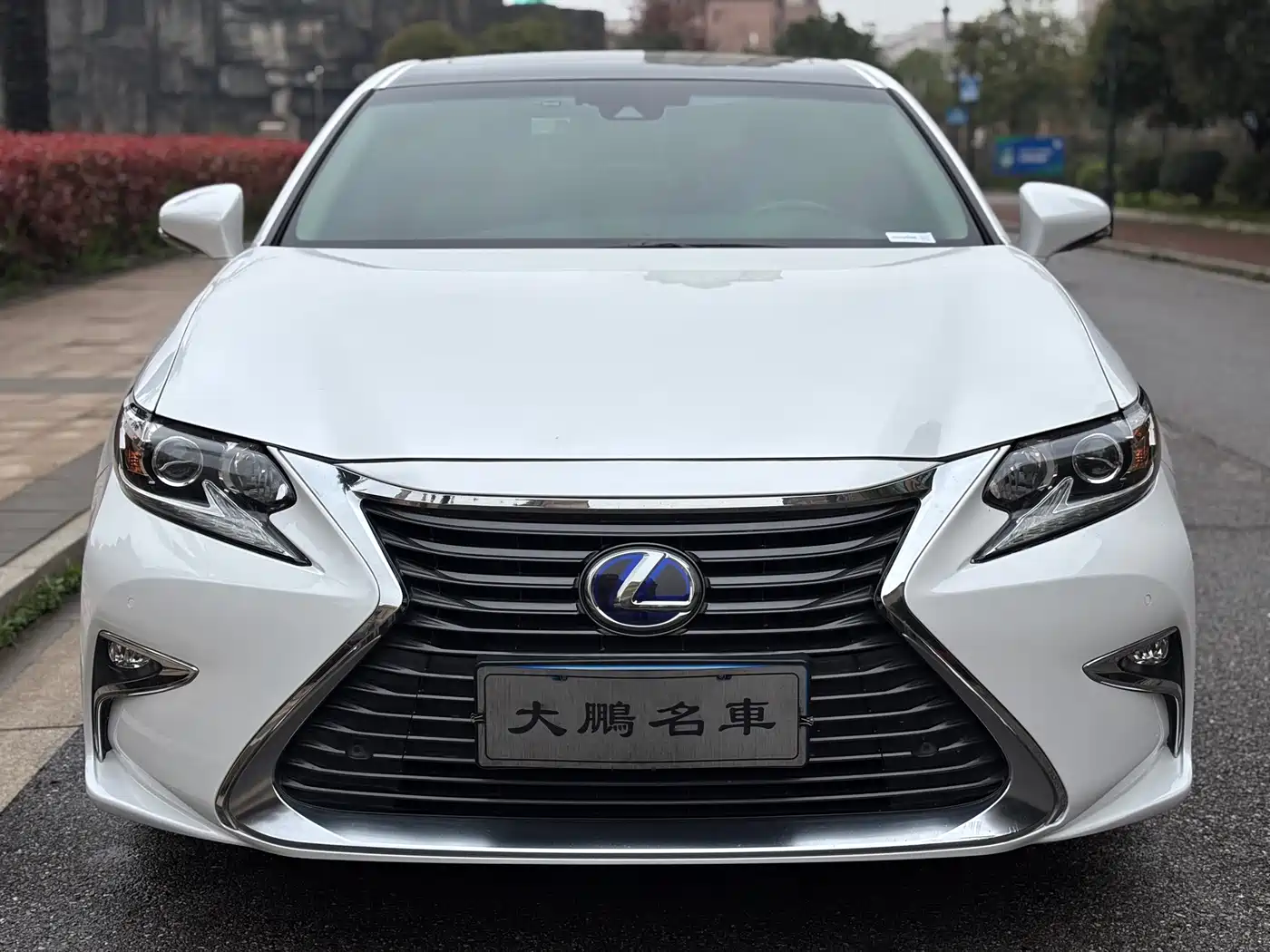 Lexus ES 2015 300h Comfort Edition фото 3
