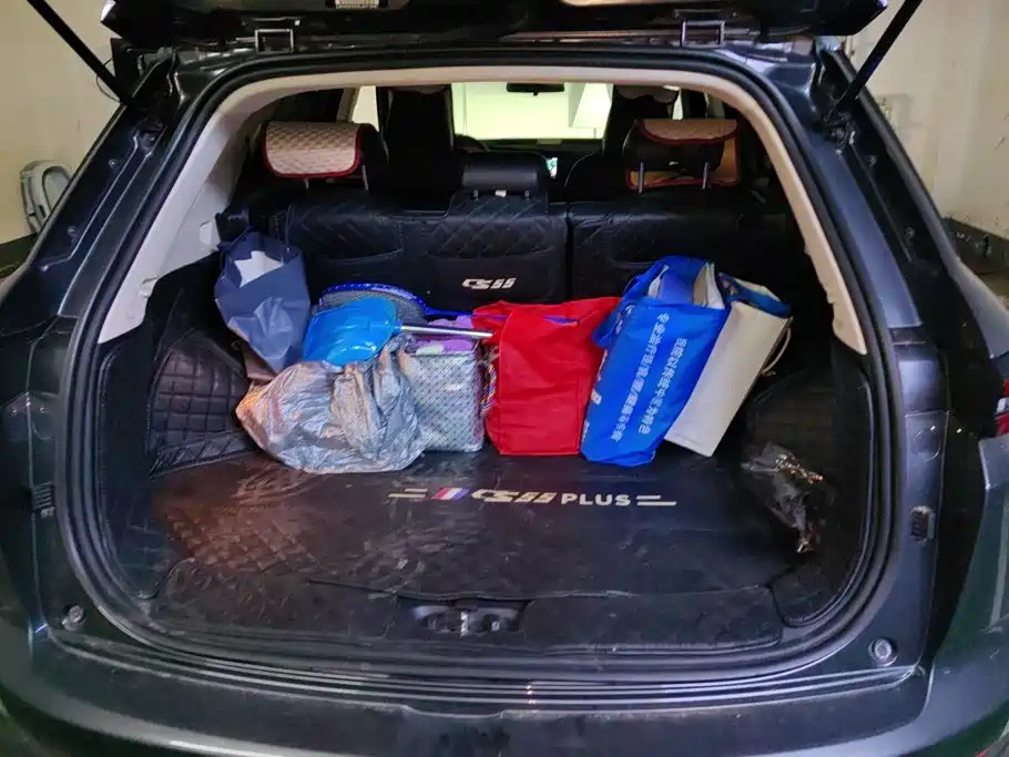 Changan CS55 PLUS 2020 2021 Blue Whale Edition 1.5T DCT Luxury