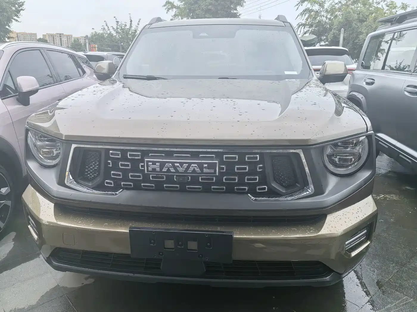 Haval Da Gou 2nd Gen 2024 2023 2.0T 2WD Trendy Off-road Edition Plus