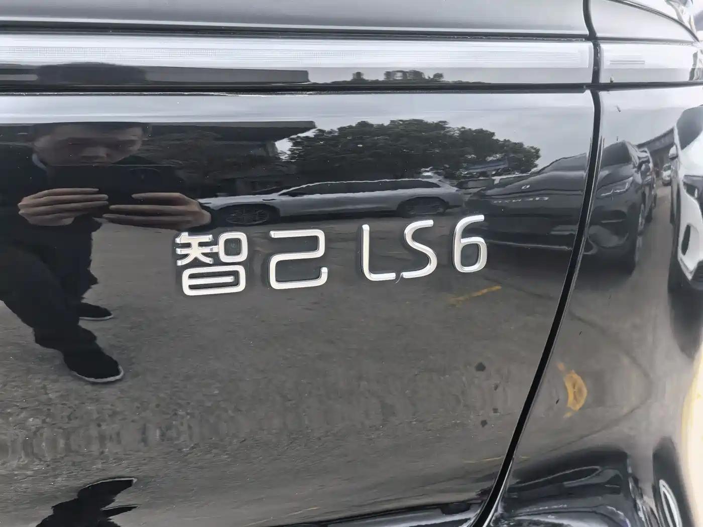 ZHIJI AUTOMOBILE ZHIJI LS6