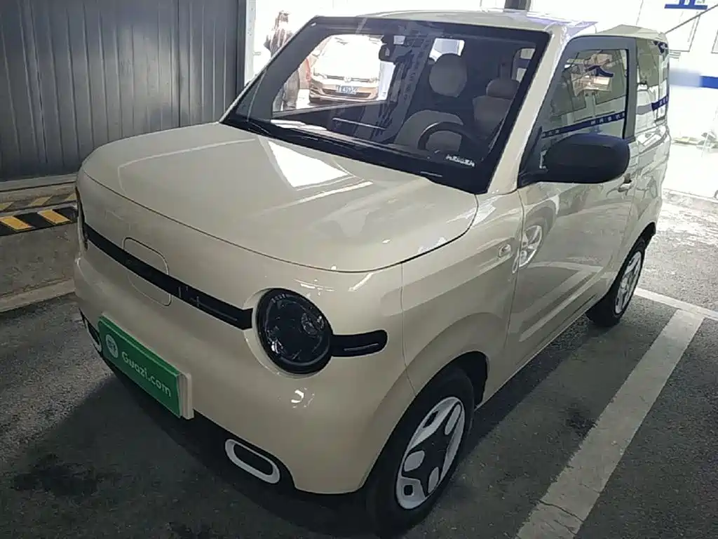 Geely Galaxy Panda 2025 Panda mini 210km Vitality Bear