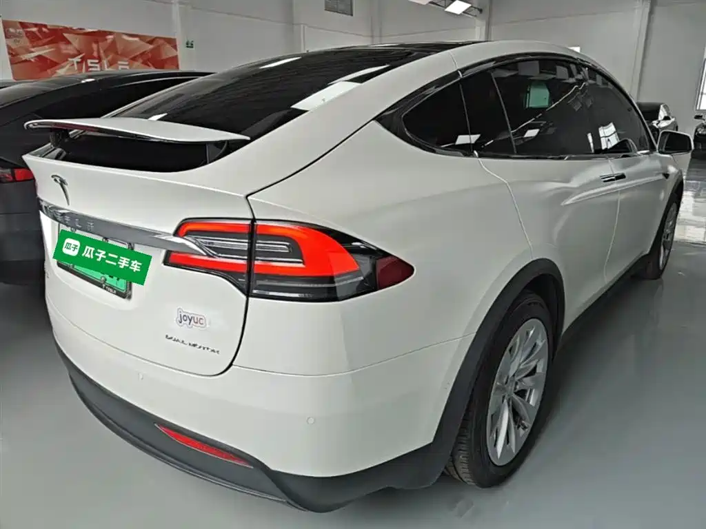 Фото 7 - Tesla Model X