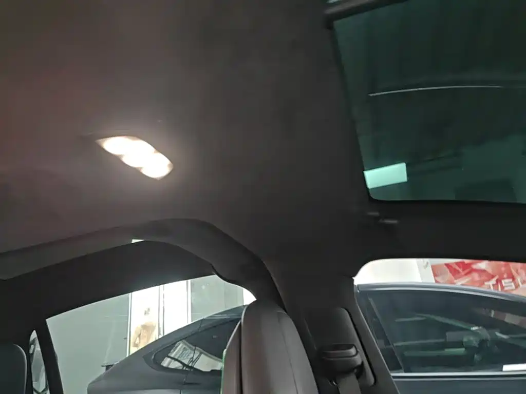 Фото 18 - Tesla Model X