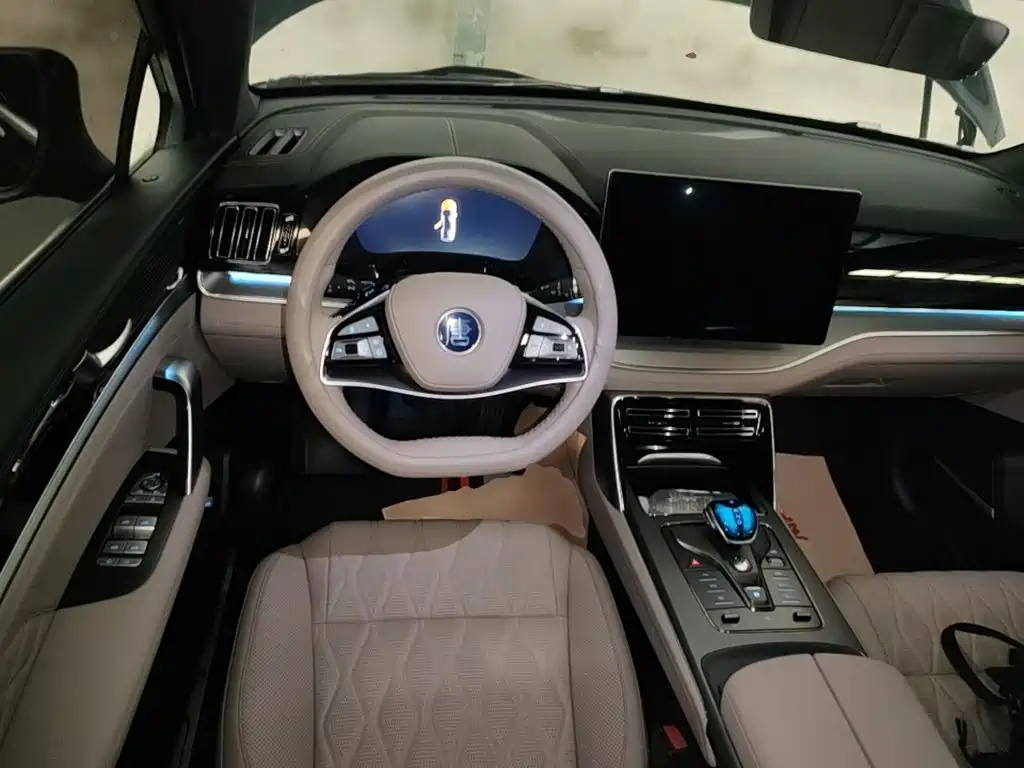 BYD Tang New Energy 2025 2025 Smart Driving Edition DM-i 115KM Honor