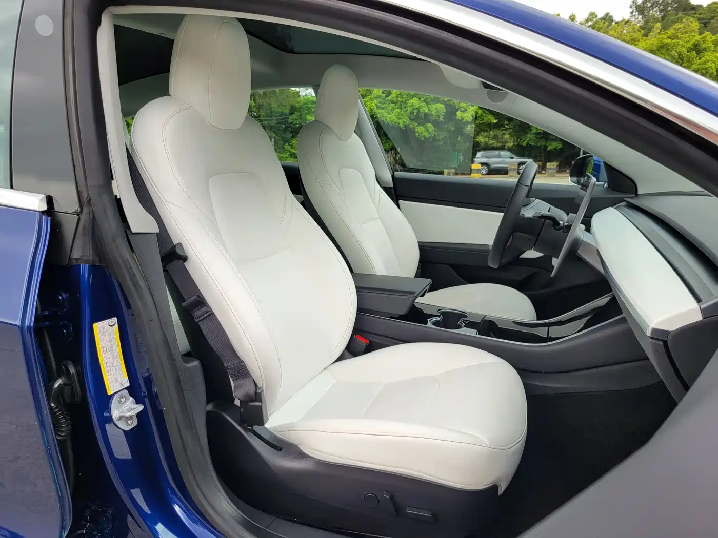 TESLA MODEL 3 (IMPORTED)