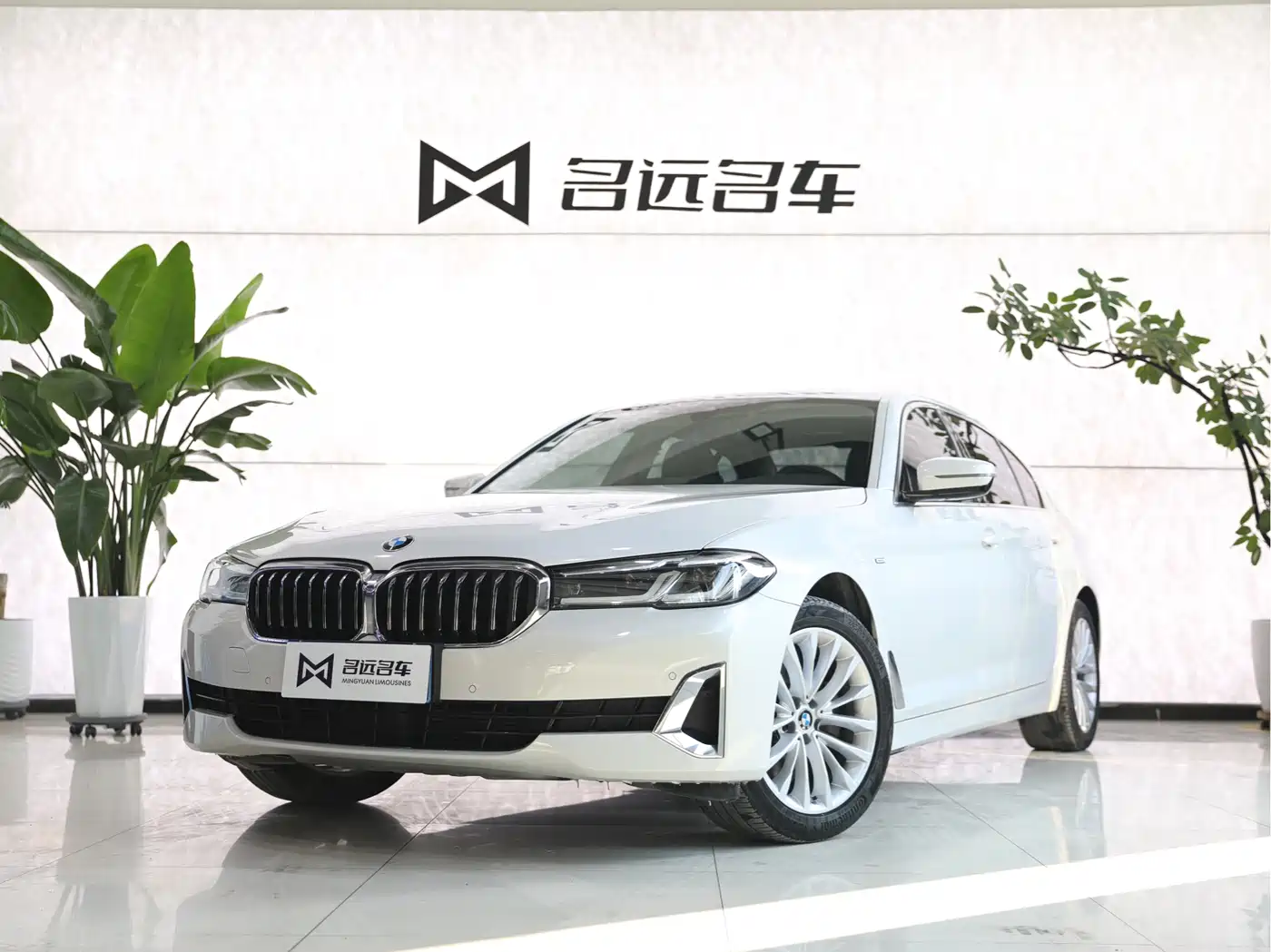 BMW 5 Series 2021 525Li Luxury Package