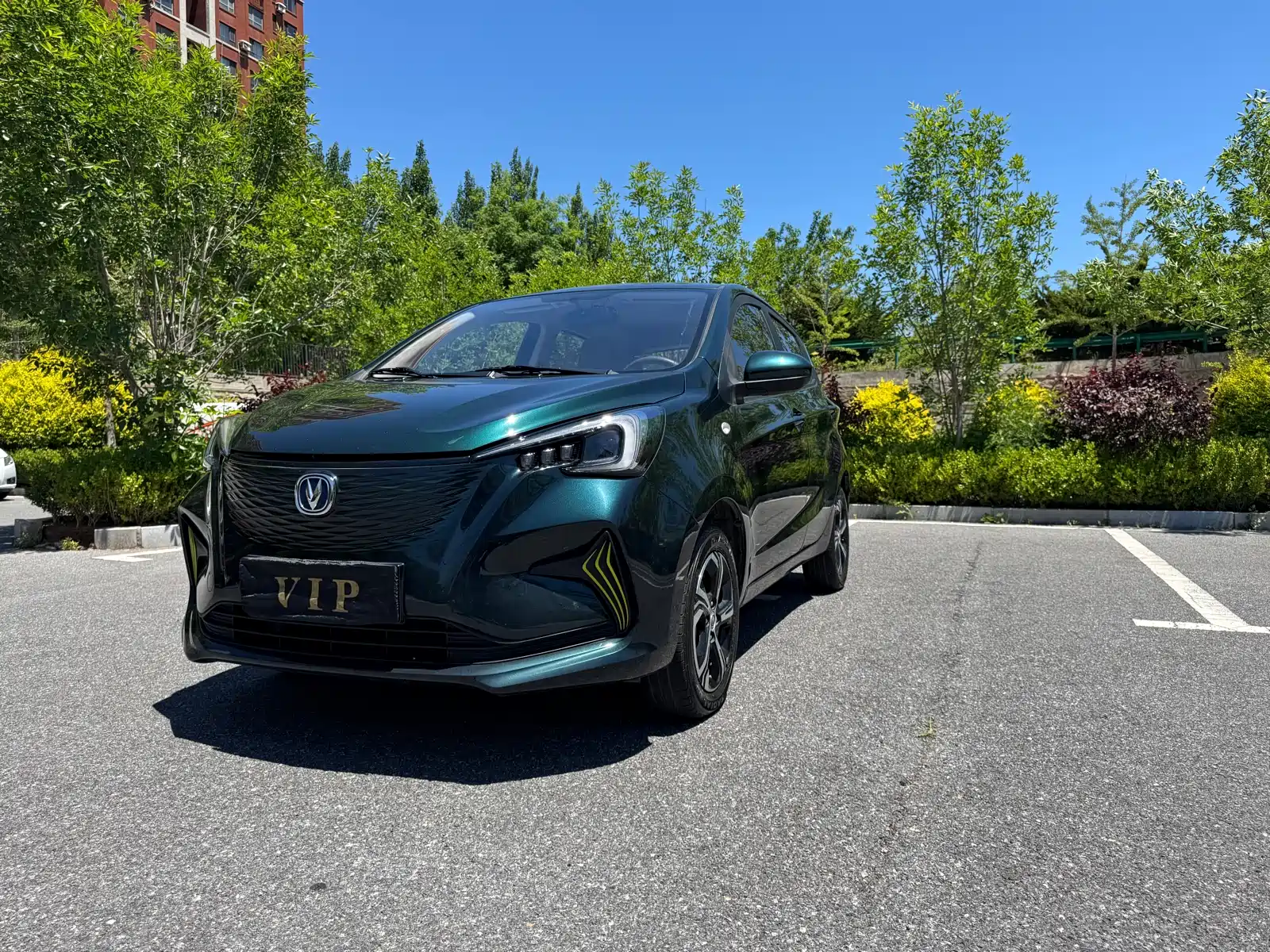 Фото 2 - Changan Benben E-Star