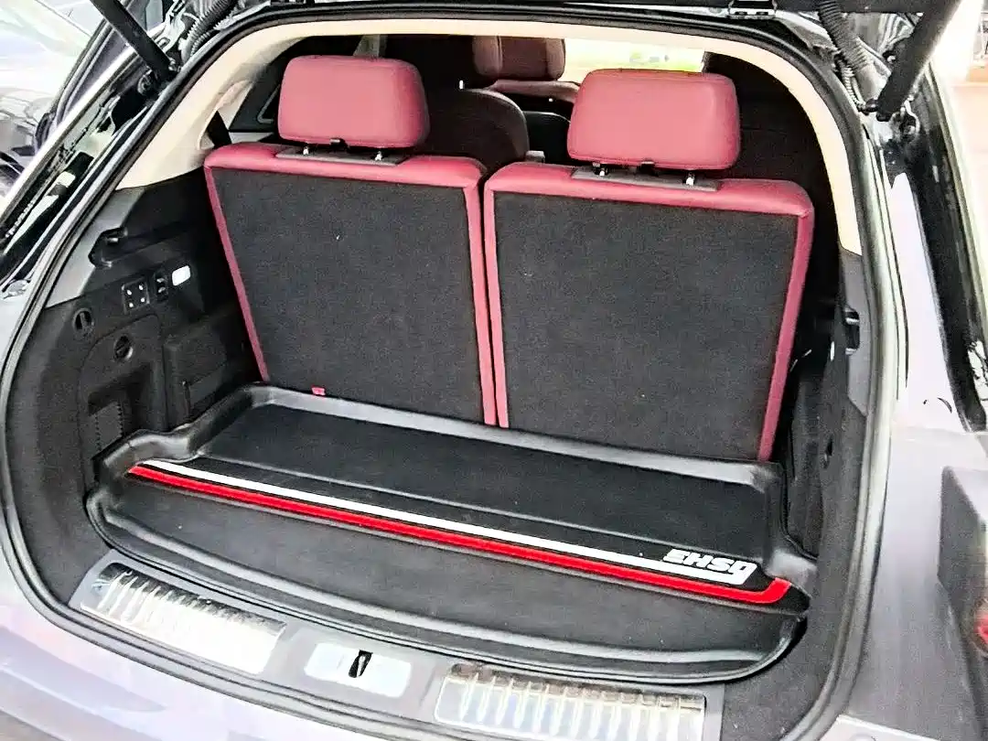Hongqi E-HS9 2021 510km Flagship Comfort 6-seater фото 5