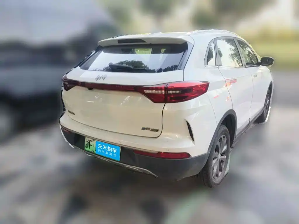 Weltmeister EX5 2019 2019 EX5 Mate Power Alliance Edition 400