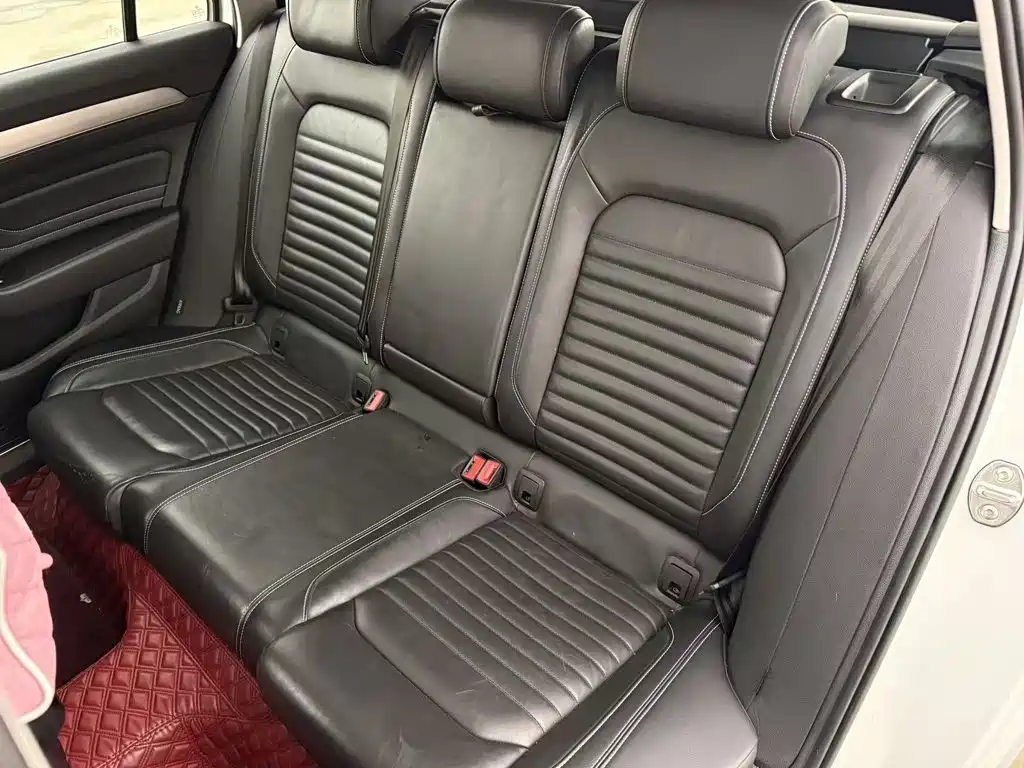 Volkswagen Weilan 2022 2021 2.0T Smooth Ride Edition