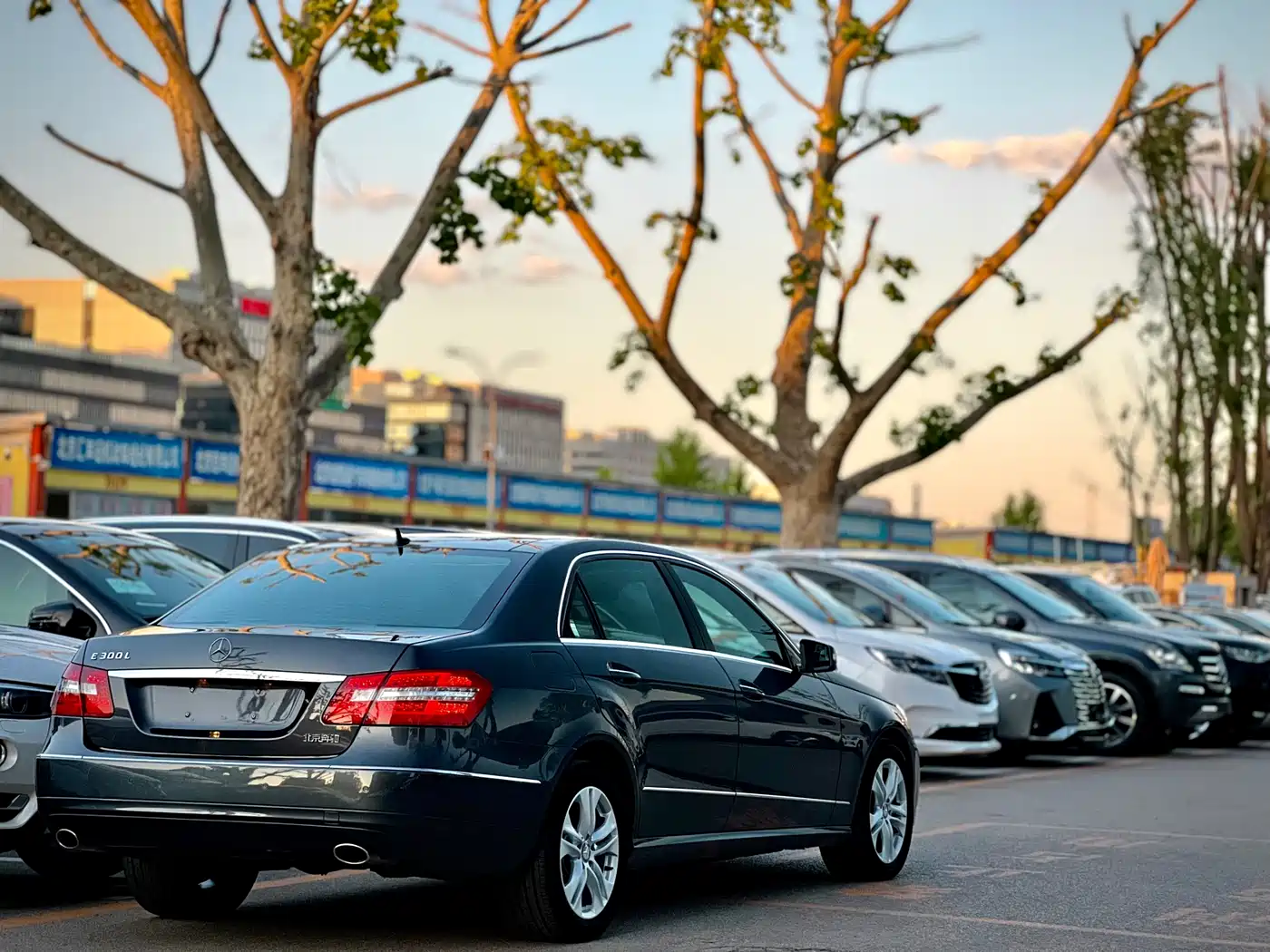 Mercedes-Benz E-Class 2010 E 300 L Fashion фото 8