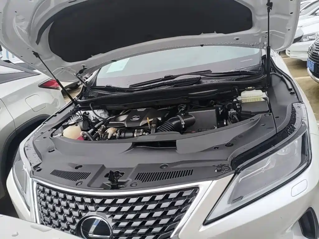 Фото 20 - Lexus RX