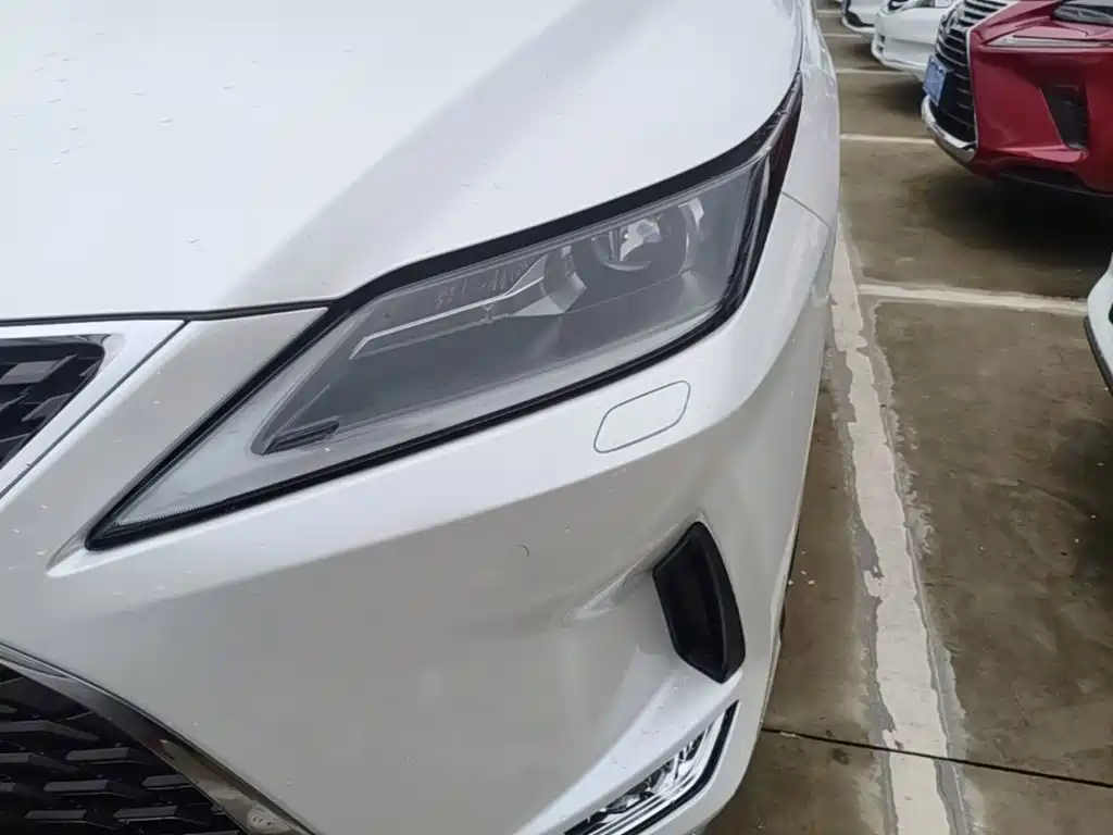 Фото 24 - Lexus RX