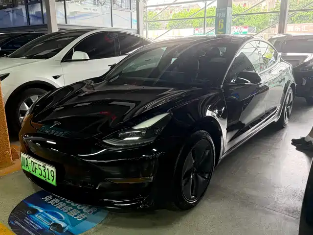Tesla Model 3 2019 Standard Range Rear-Wheel Drive Upgrade