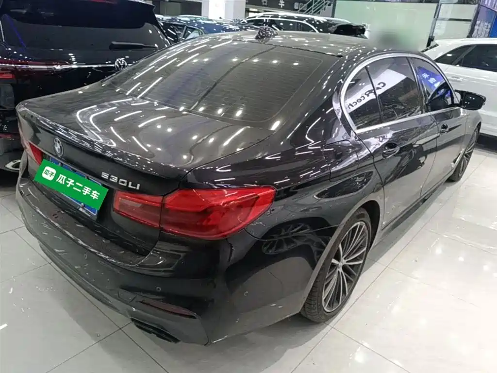 BMW 5 Series 2020 530Li Leading M Sport Package фото 7