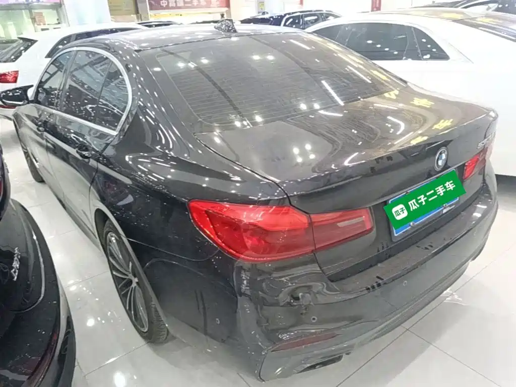 BMW 5 Series 2020 530Li Leading M Sport Package фото 5