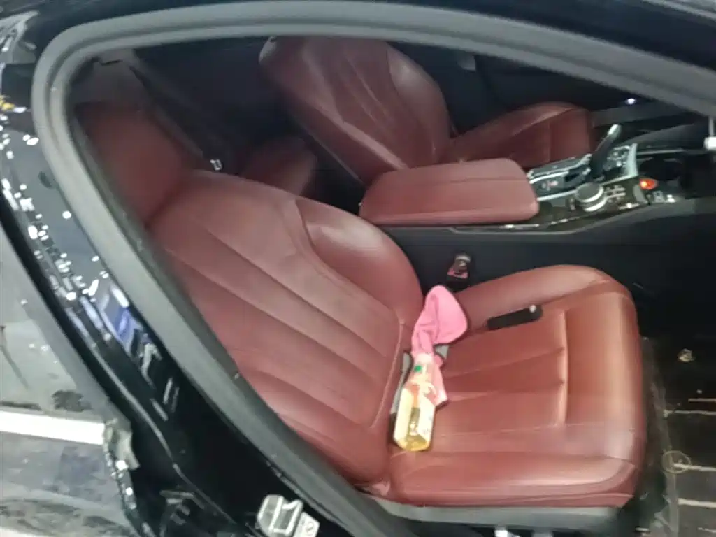 BMW 5 Series 2020 530Li Leading M Sport Package фото 25