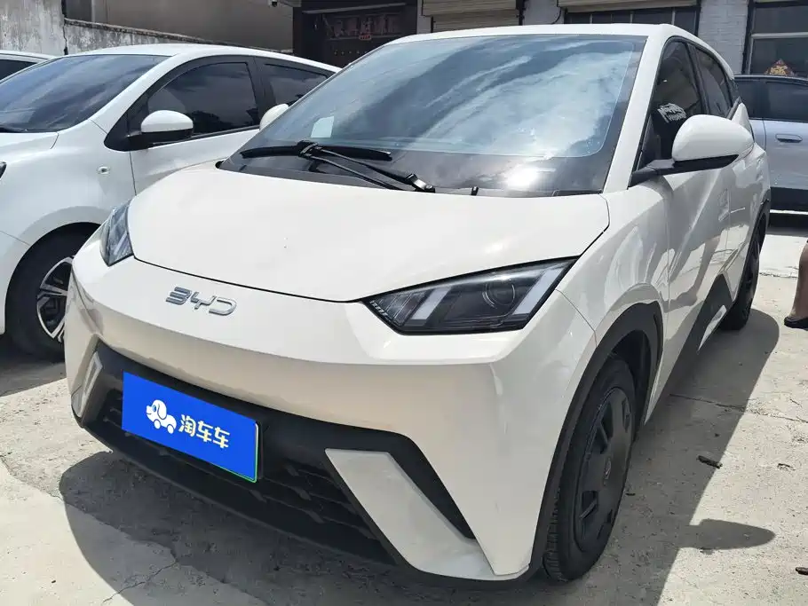 BYD Seagull 2024 Glory Edition 305km Vitality Edition