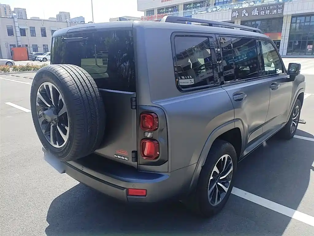 Haval H9 2024 2.0T Gasoline AWD Extreme Edition фото 7