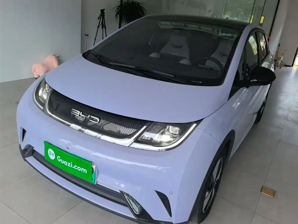 BYD Dolphin 2023 420km Fashion Edition