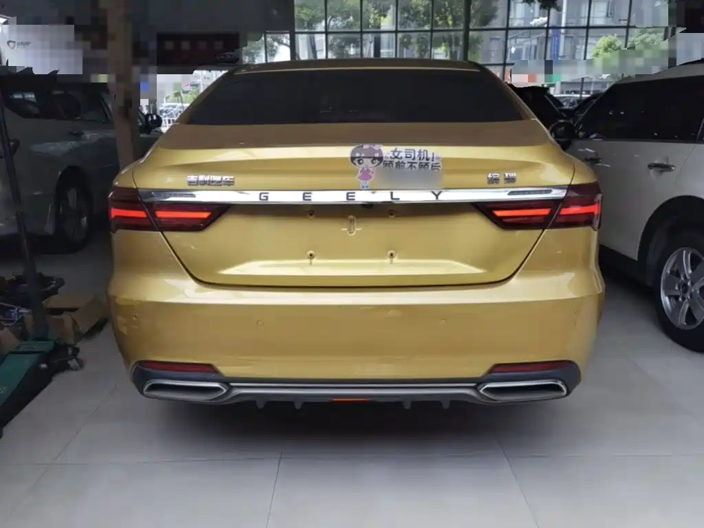 Фото 6 - Geely Binrui