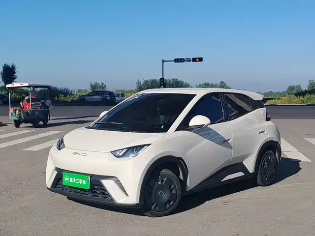 BYD Seagull Энергия