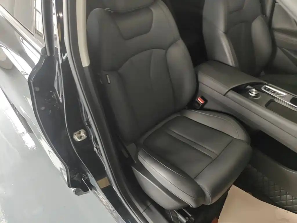 Dongfeng Aeolus Haoji 2024 2024 Mach Power 1.5T Luxury