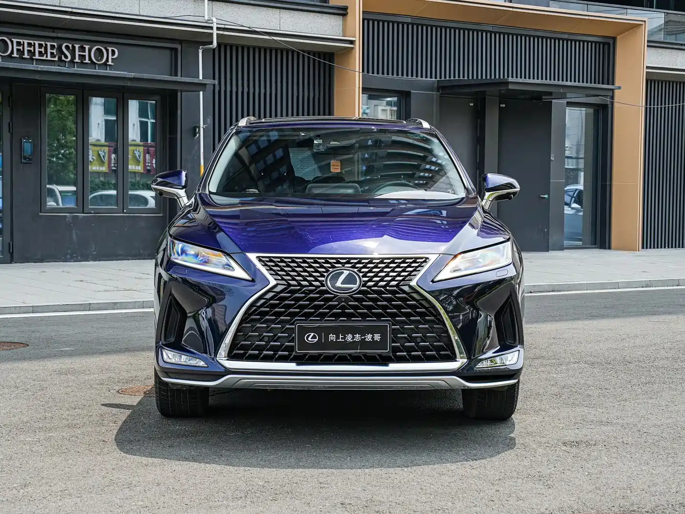 LEXUS RX