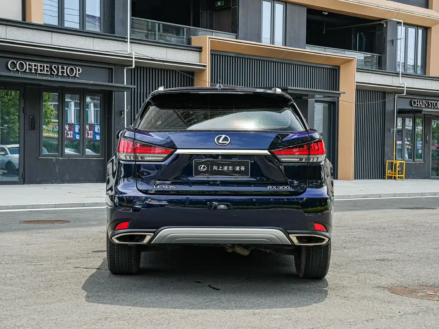 LEXUS RX