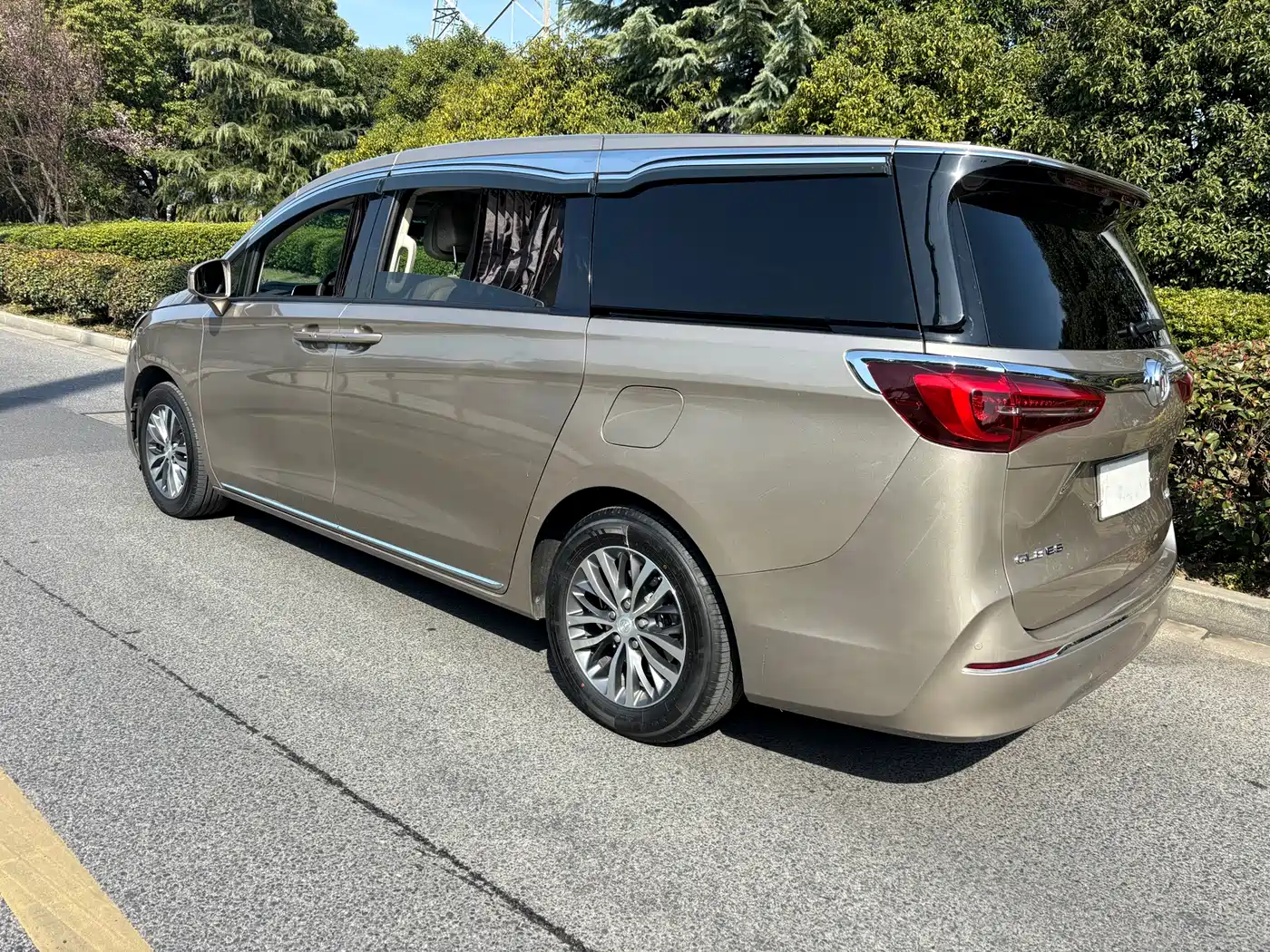 Buick GL8 2023 ES Landmaster Comfort фото 6