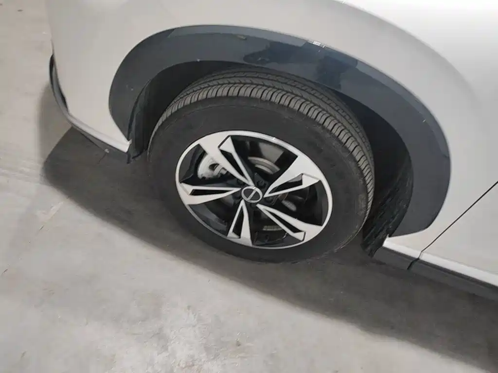 Roewe D5X DMH 2024 2024 135 Luxury Edition