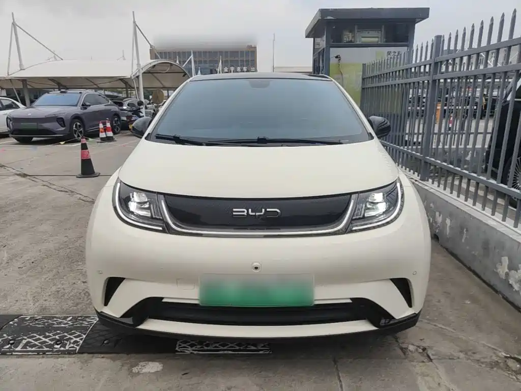 Фото 3 - BYD Dolphin