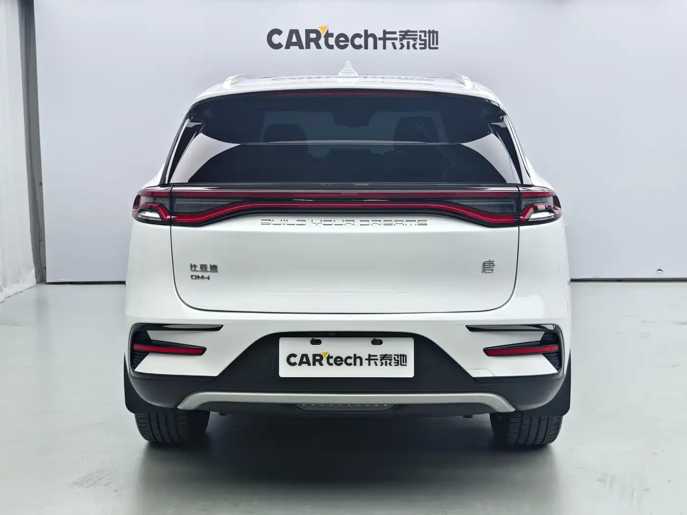 BYD Tang New Energy 2024 2023 Model DM-i Champion Edition 112KM Honor