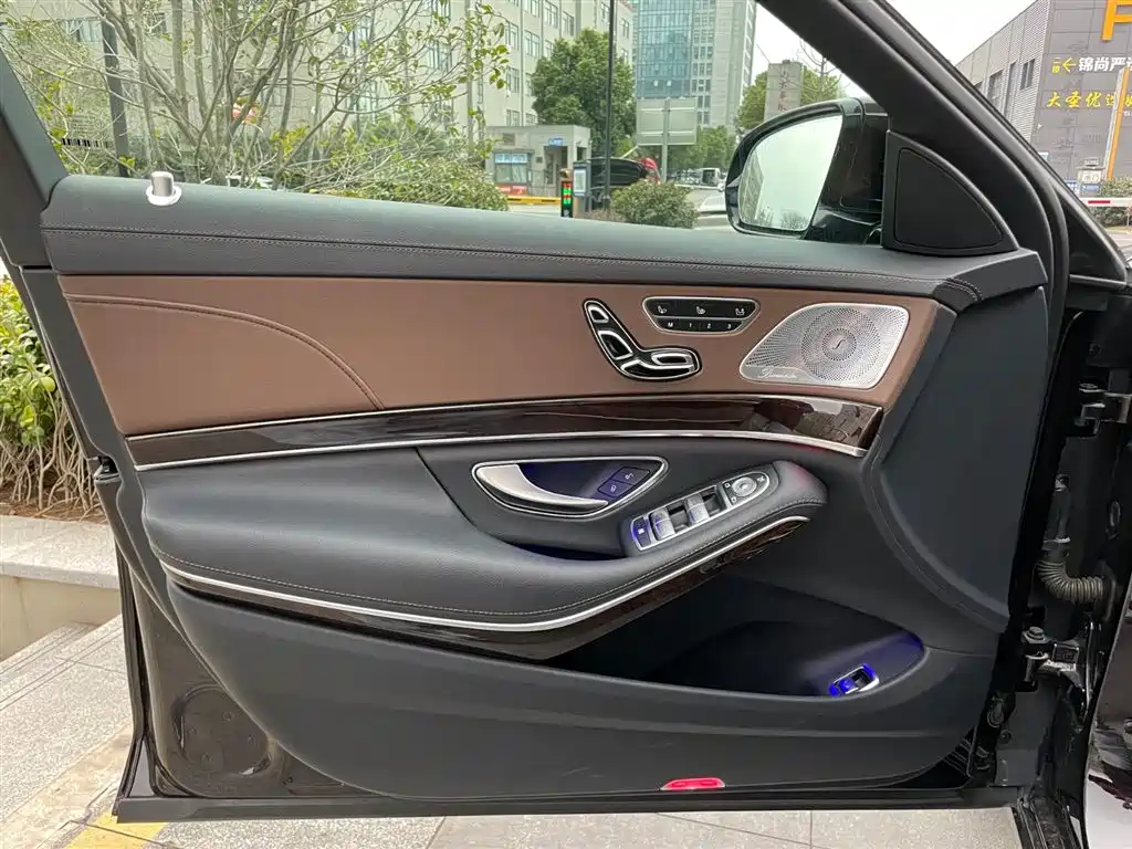 Mercedes-Benz S-Class 2020 S 350 L Premium Edition Collector's Version фото 10