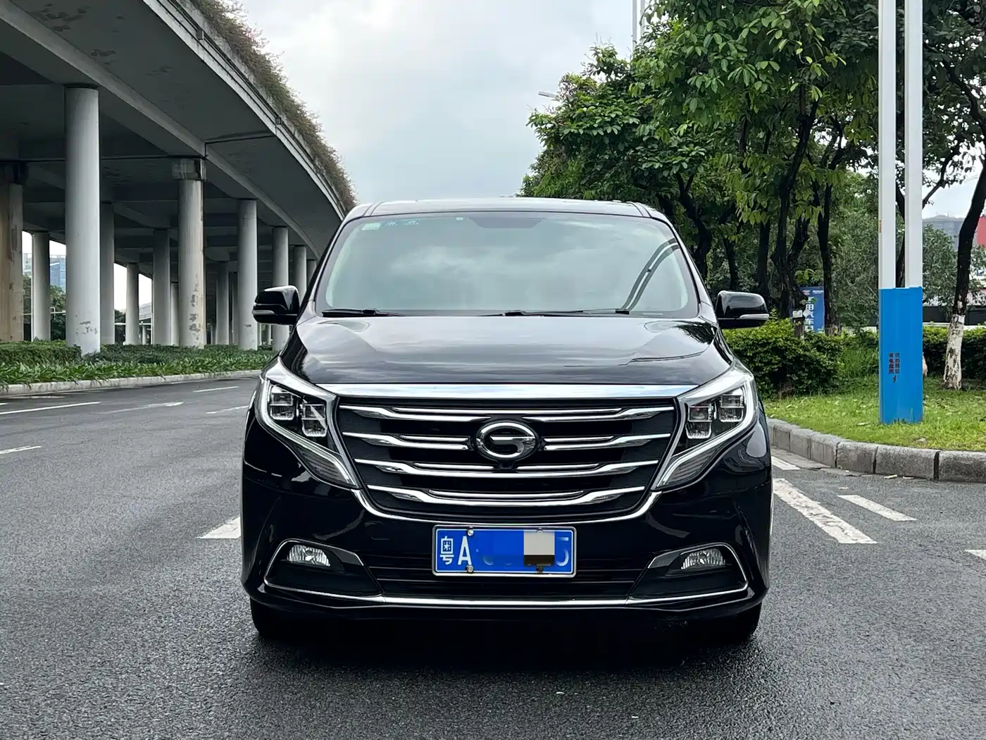 GAC Trumpchi Trumpchi M8 2018 320T Exclusive Edition фото 2