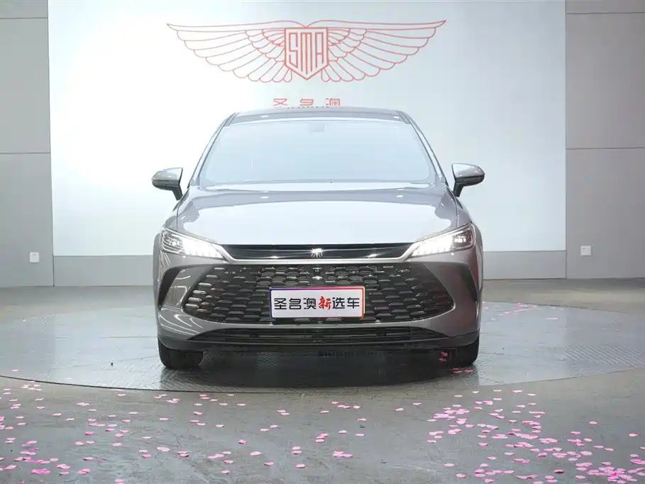 BYD Qin PLUS 2025 DM-i Smart Drive 55KM Leader фото 6