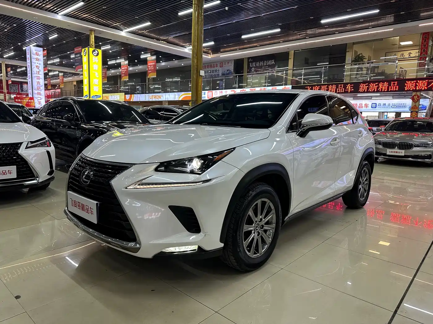 Lexus NX 2020 200 FWD Fengyi Edition China VI