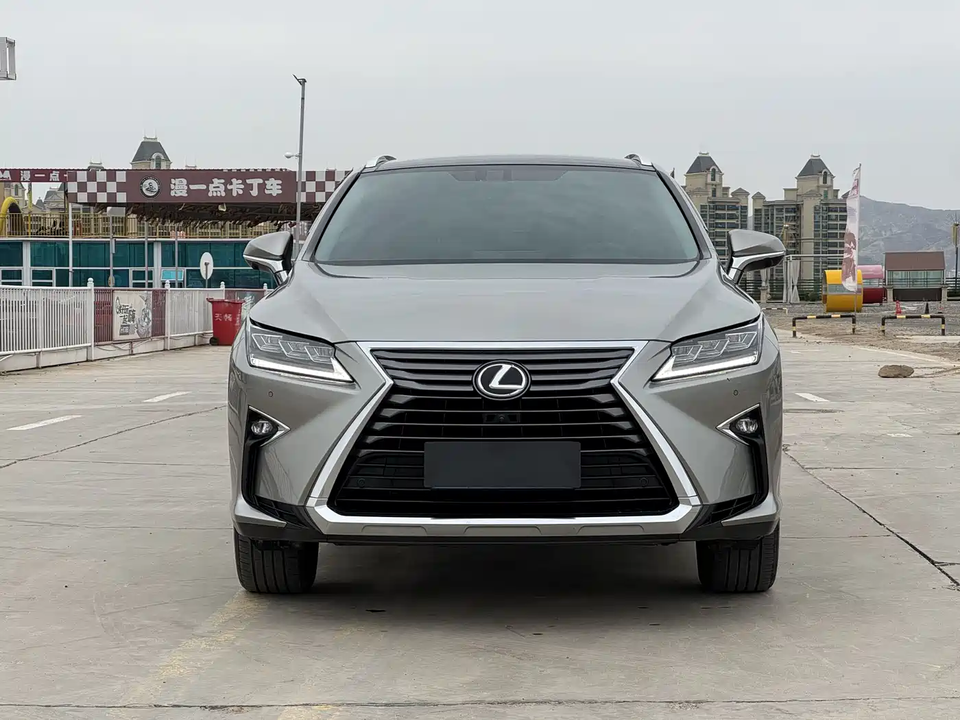 Lexus RX 2016 300 4WD Elegance Edition (China V) фото 2