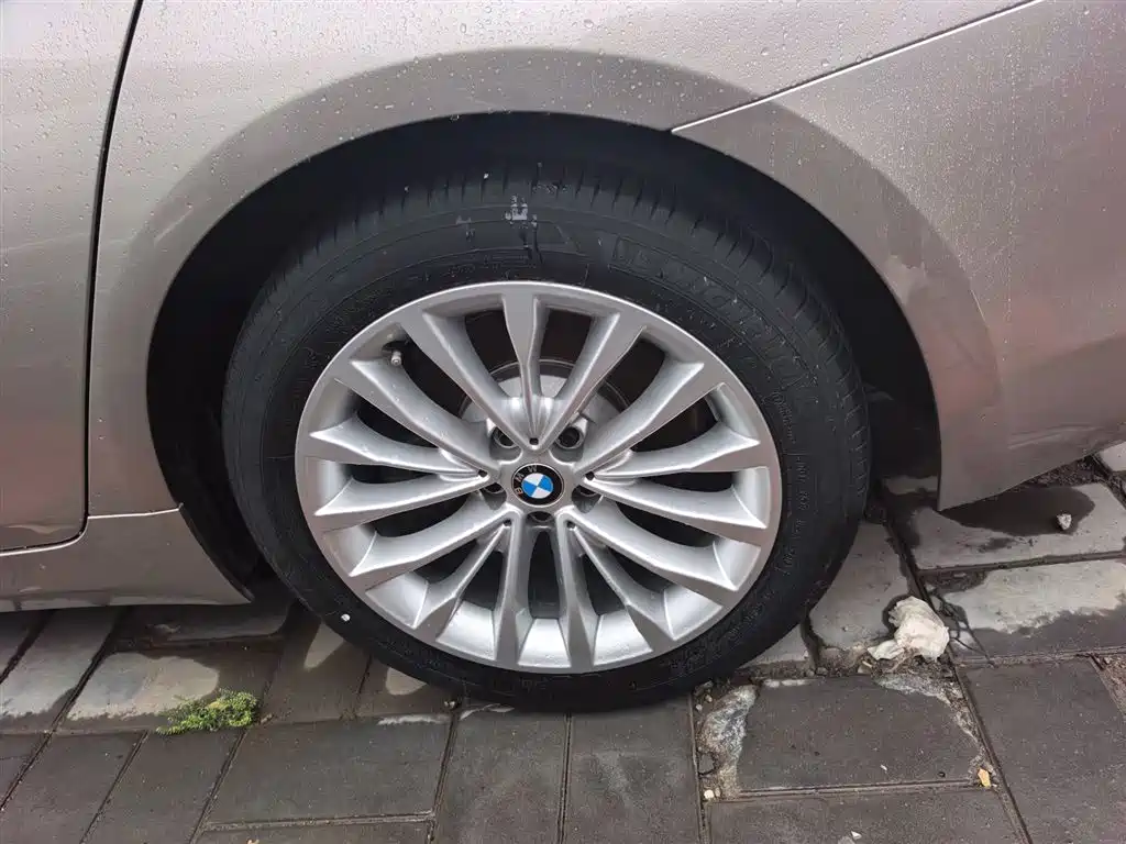 BMW 5 Series 2019 530Li Leading Luxury Package фото 9