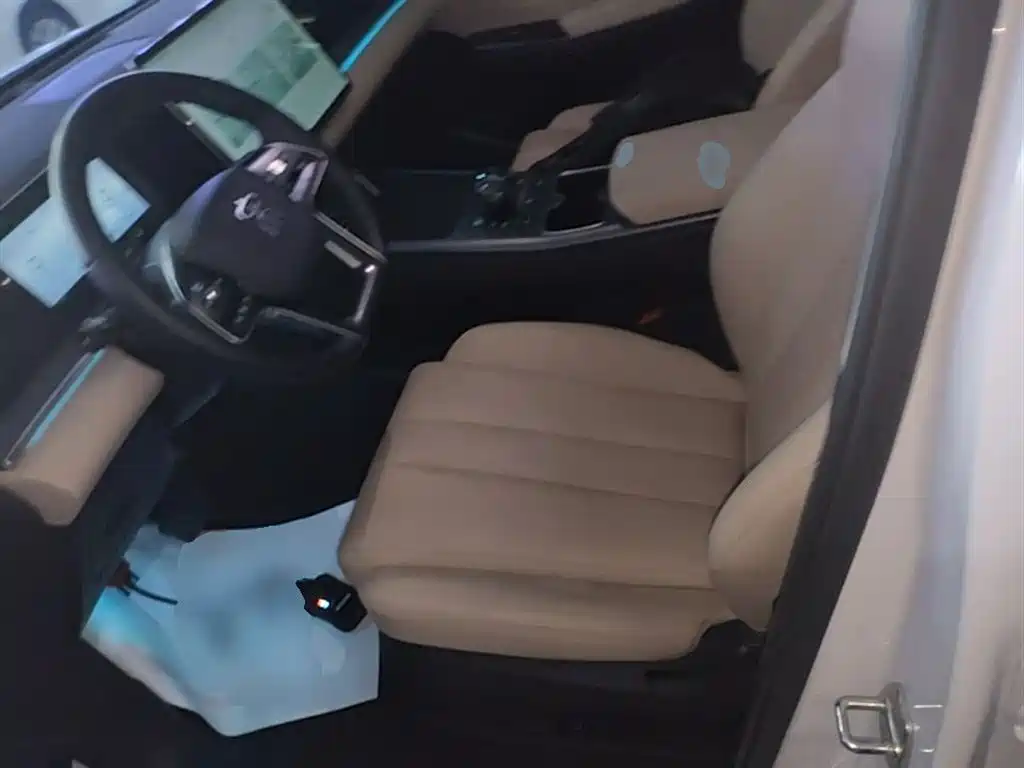 BYD Song Pro New Energy 2025 2nd Gen DM-i 115KM Excellence фото 15